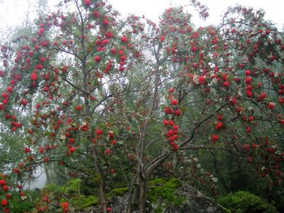 016-Auf dem Wanderweg durch das Puetzbachtal